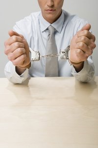 宠物触电预防与急救的深度科普知识